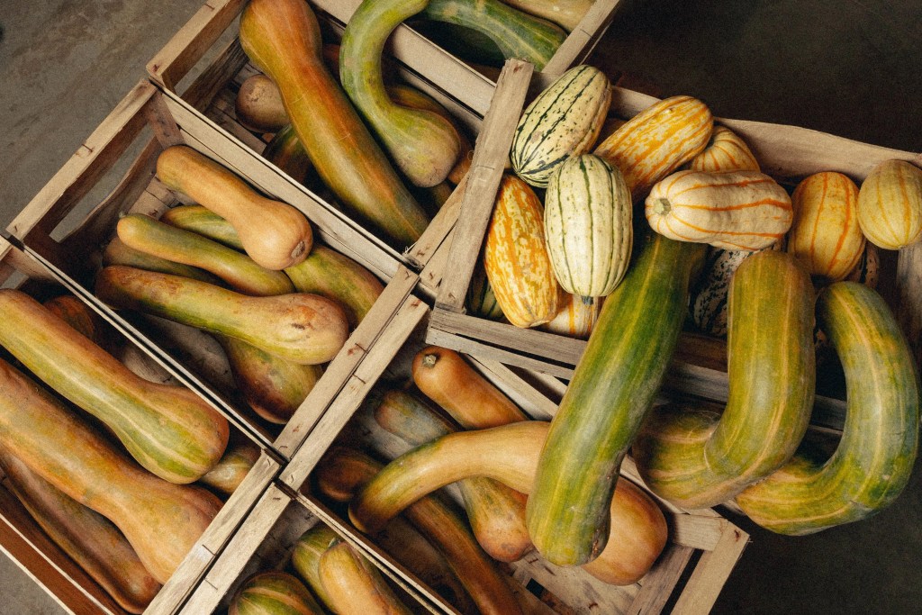 Seazon utilise des légumes bio pour ses plats préparés