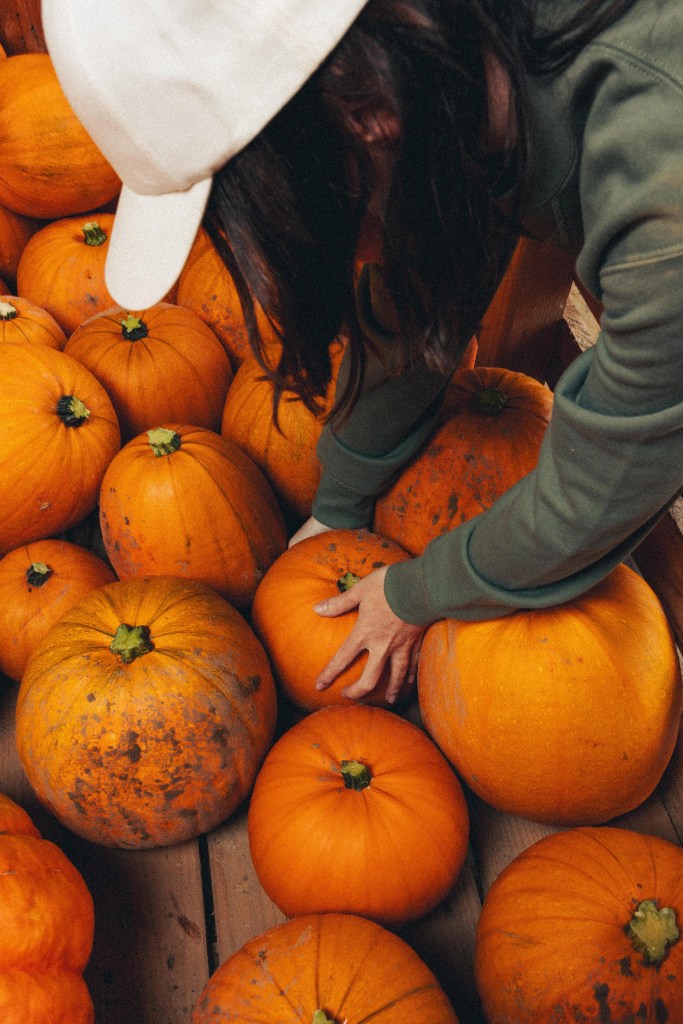 les légumes bio des producteurs partenaires de Seazon